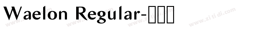 Waelon Regular字体转换